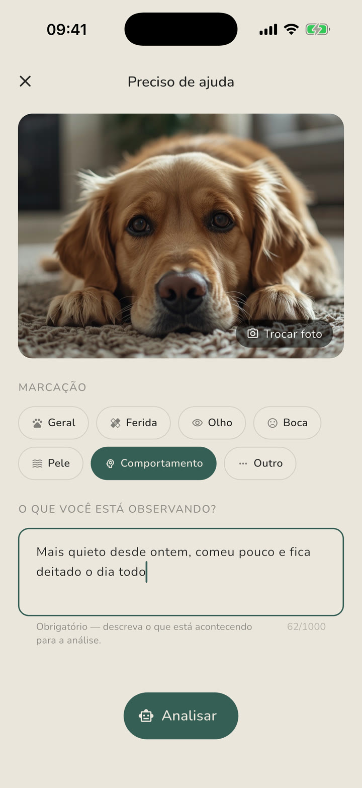 Tela Preciso de ajuda do Petline: foto do pet, marcação e descrição para a análise por IA